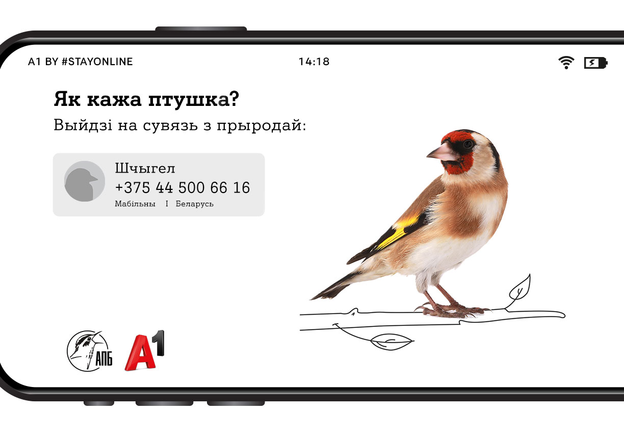 что такое птичка в телефоне. Смотреть фото что такое птичка в телефоне. Смотреть картинку что такое птичка в телефоне. Картинка про что такое птичка в телефоне. Фото что такое птичка в телефоне